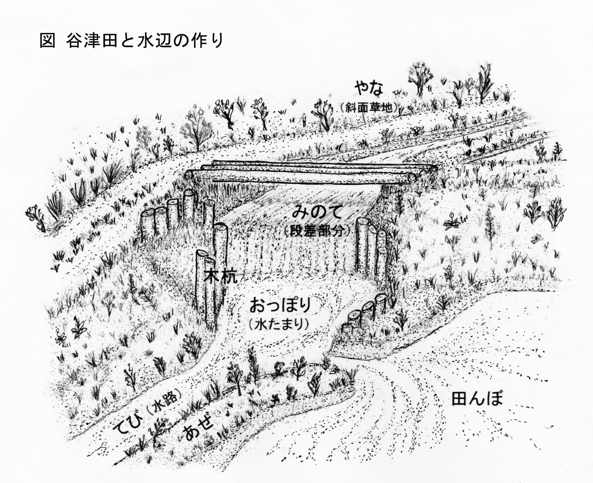 3Dは、3次元(Three Dimensions)ではなく、デジタル細密スケッチ(Digital Detail Design)だった 画像1